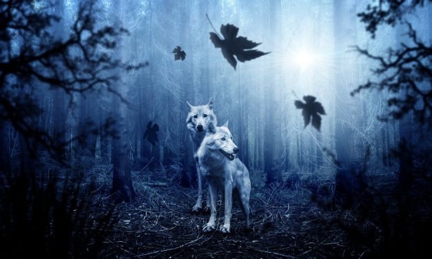 Les deux loups intérieurs